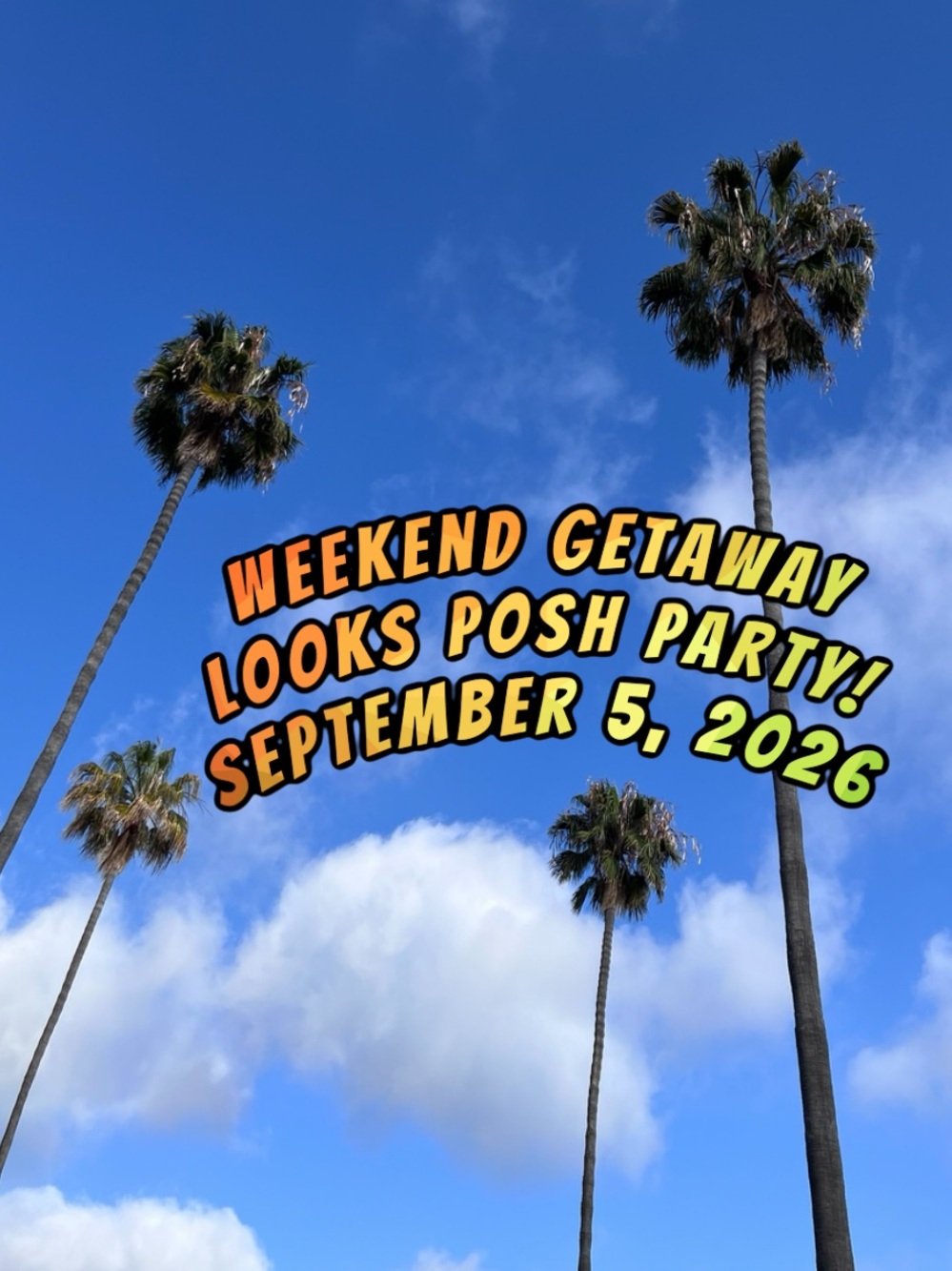 🌴☀️POSH PARTY!💙🇺🇸